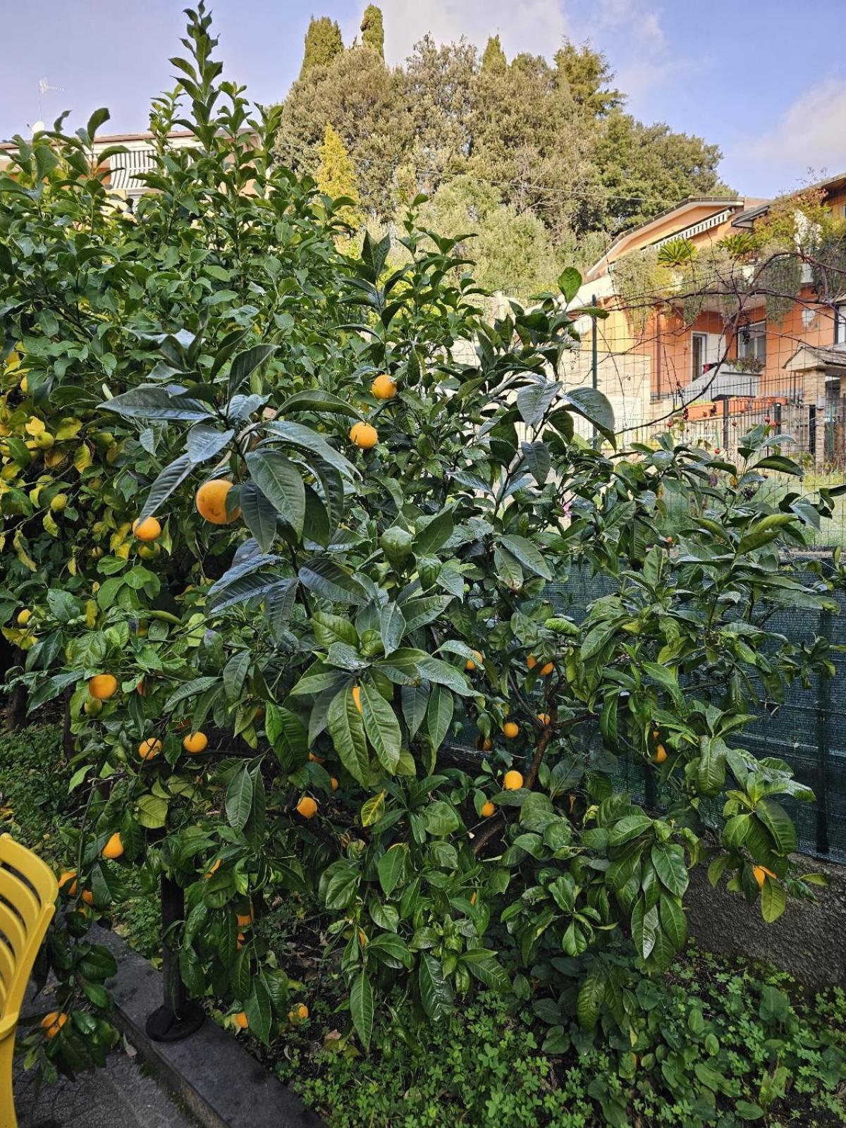 Marty&Olly Luxury Garden Apt Monterosso al Mare Exterior photo
